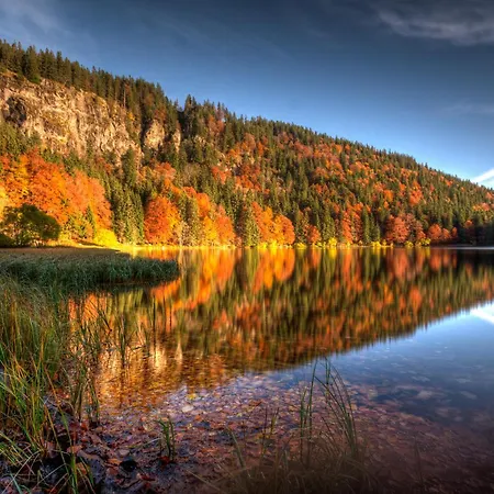 Ideal Fuer Familien, Heimkino Mit Popcorn, Parken, Nah Am See, Modern Und Gross