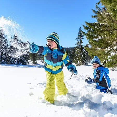 Apartment Ideal Fuer Familien, Heimkino Mit Popcorn, Parken, Nah Am See, Modern Und Gross *