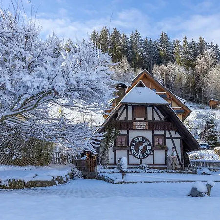 Ideal Fuer Familien, Heimkino Mit Popcorn, Parken, Nah Am See, Modern Und Gross * Lenzkirch