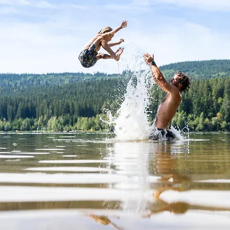 Ideal Fuer Familien, Heimkino Mit Popcorn, Parken, Nah Am See, Modern Und Gross Lenzkirch